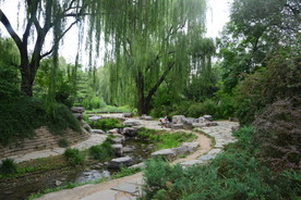 动物园风景