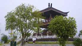 公园观鸟亭