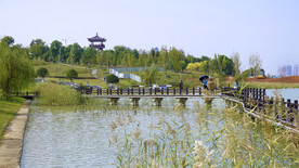湖畔观鸟亭