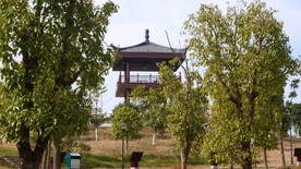 观鸟亭