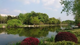 南京玄武湖情侣园