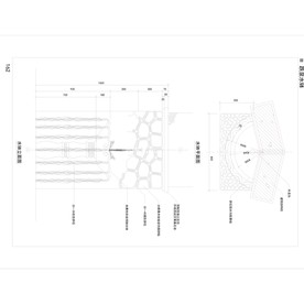 CAD公园绿化 桥路 道路绿化