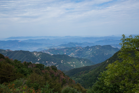泰山