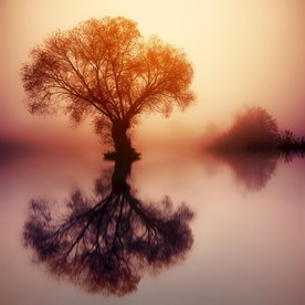 日暮下的湖泊风景