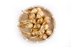 蔬菜  高清蔬菜   蔬菜素材