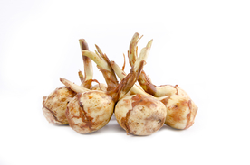蔬菜  高清蔬菜   蔬菜素材
