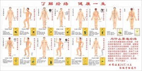 壹经络 经络养生 经络图  了