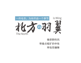 摄影写真后期字体文字排版模版