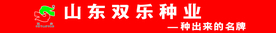 双乐种业