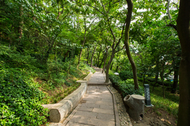 信号山