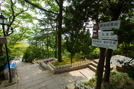 信号山
