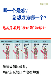 手机颈