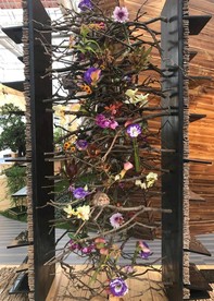 花博园