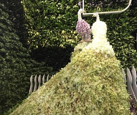 花博园