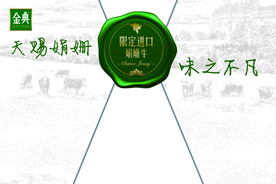 金典展板