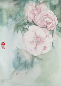 水彩花卉-山茶花