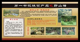 野山猪