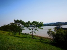 河边 小河