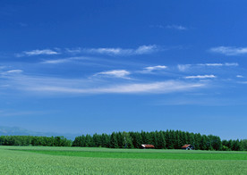 田野风光