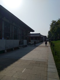 观光的游客