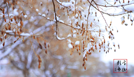 2018初雪