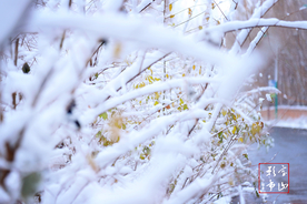 2018初雪