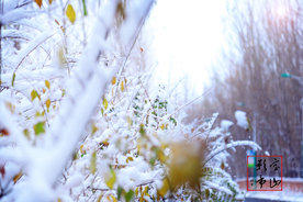 2018初雪