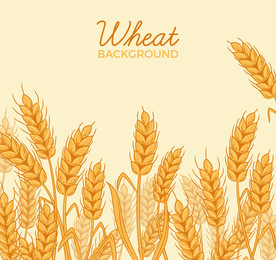 彩绘麦田麦穗矢量素材