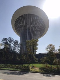 武汉标志性建筑物 马蹄莲