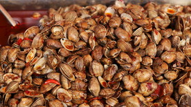 美食节 小蚌壳