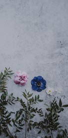 花花