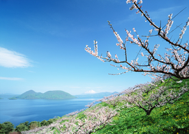 春天的山坡