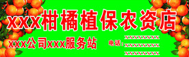 柑橘  沙糖桔