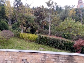 社区景观