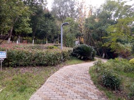社区景观