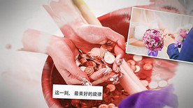 家庭相册婚礼纪念AE模板