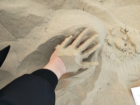 黄河边沙土