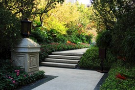 庭院