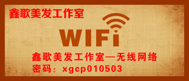 wifi无线网