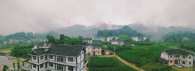 稻田 山坡 蓝天云雾