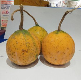 吊瓜