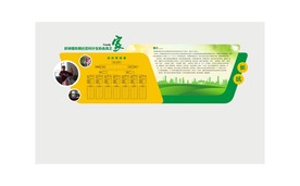 企业文化墙