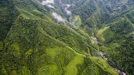 红桃村