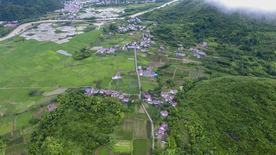 新中风光