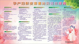 孕产妇系统保健免费基本服务