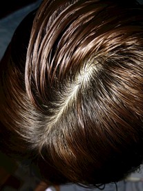 精美绝伦的发型