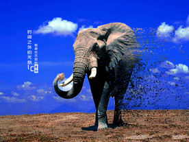 风化 消逝 大象