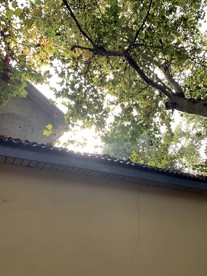 初冬的清晨