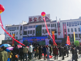 十三届茶叶节开幕式