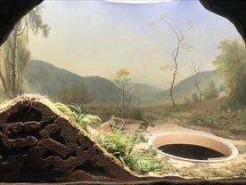 墙绘风景